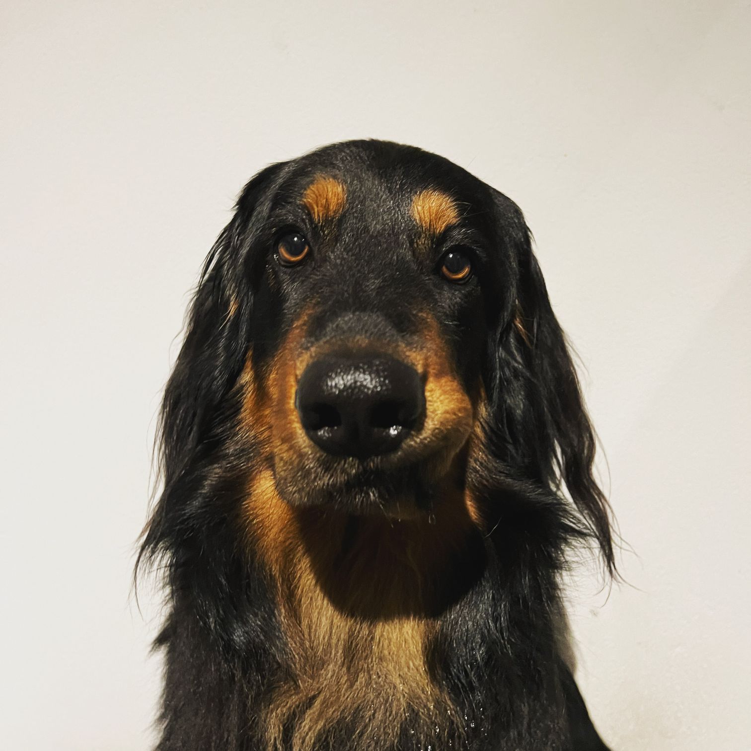 Finlay